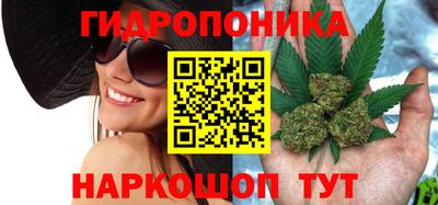 марихуана Кингисепп