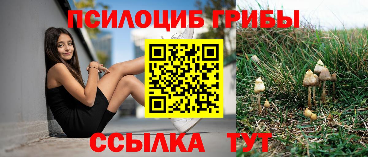 Галлюциногенные грибы мицелий Коркино