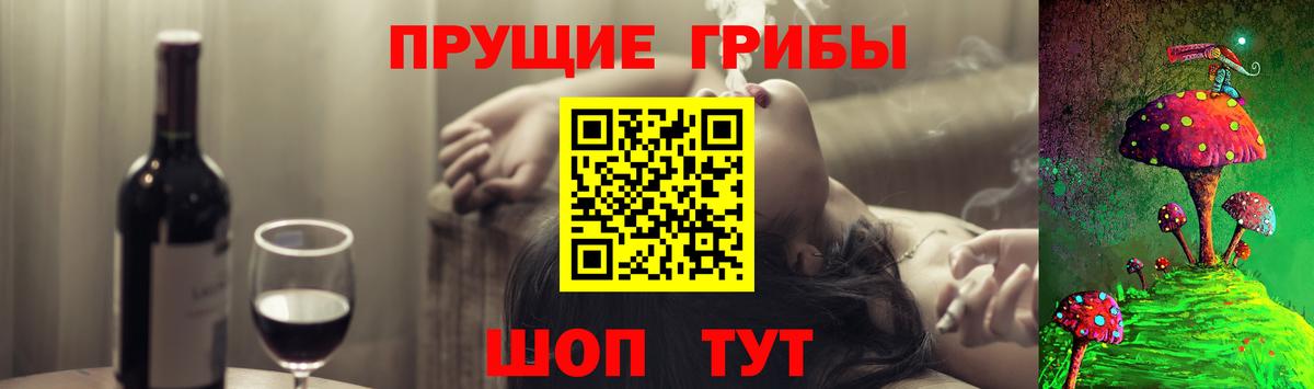 Галлюциногенные грибы GOLDEN TEACHER  Псилоцибиновые грибы ЛСД  Вход с VPN  Коркино 